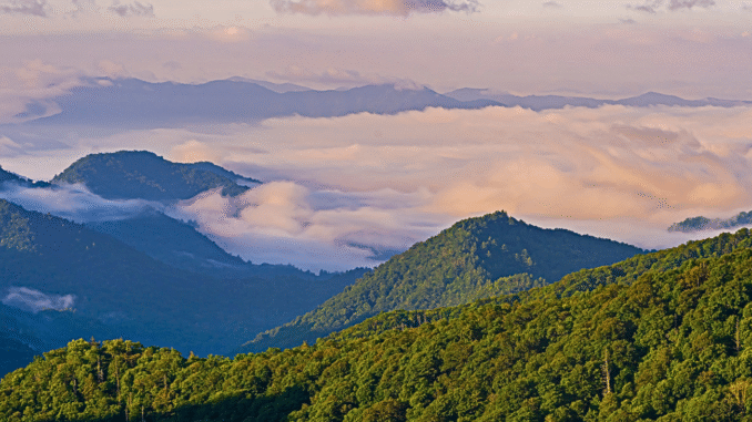 smoky mountain