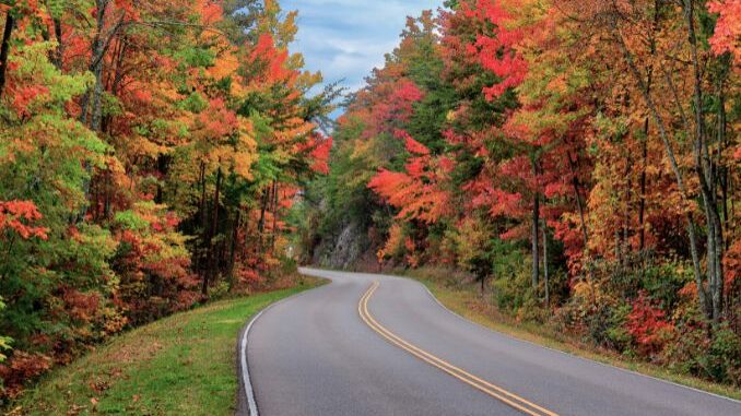 foothills parkway