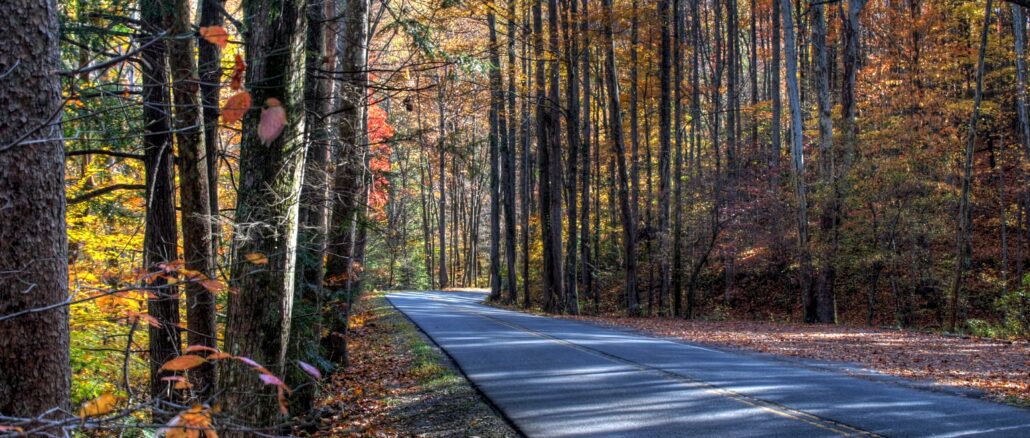 smokey mountain road with autumn trees surounding path parking tag is required for cars who park longer than 15 minutes at national park