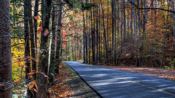 smokey mountain road with autumn trees surounding path parking tag is required for cars who park longer than 15 minutes at national park