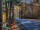 smokey mountain road with autumn trees surounding path parking tag is required for cars who park longer than 15 minutes at national park